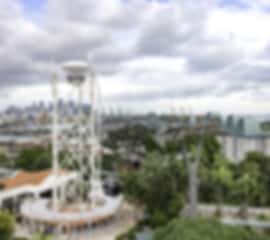 Love in the Lion City: A Blissful Singapore Honeymoon